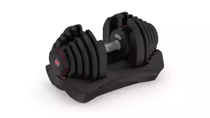 Bowflex Selecttech 1090i Dumbbells