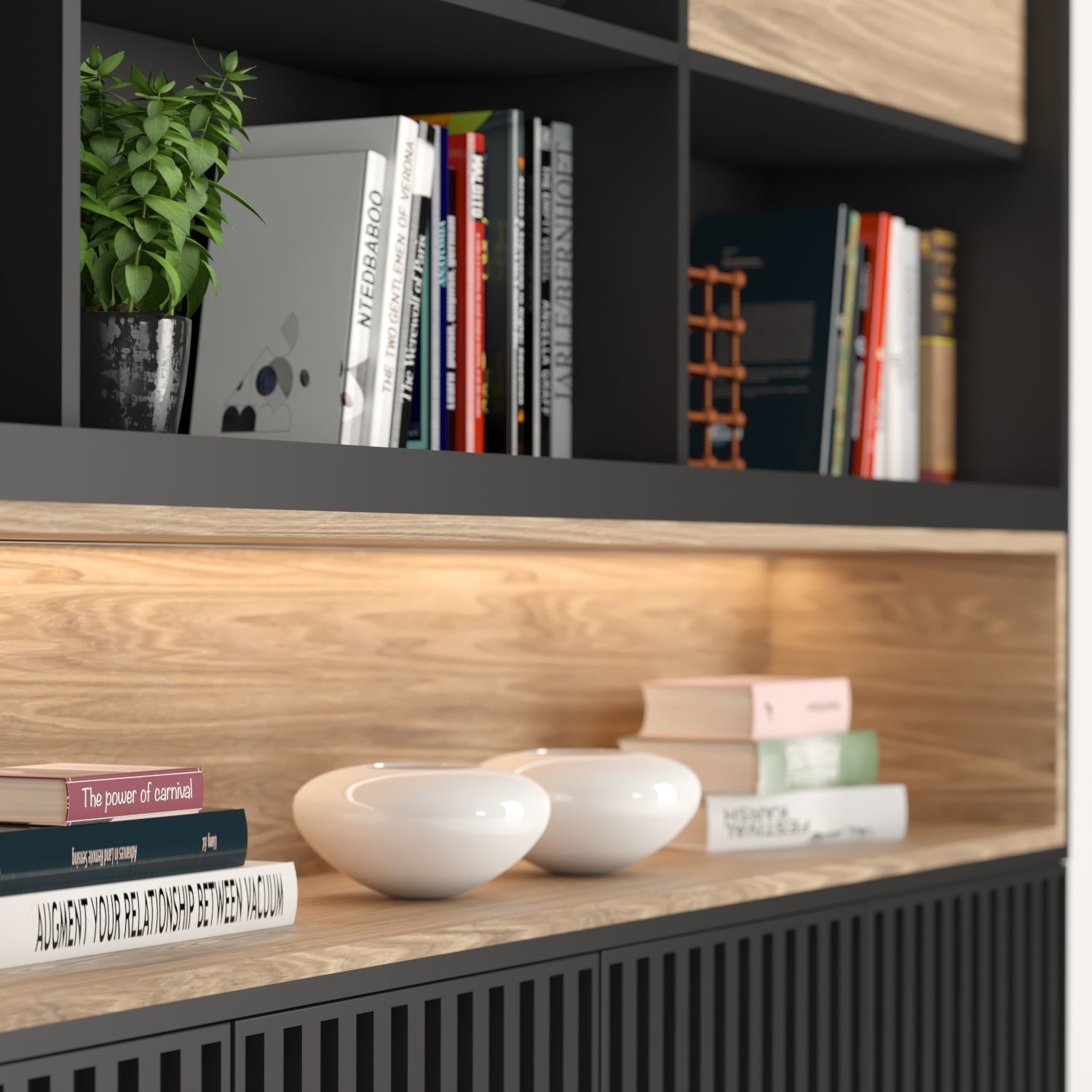 Rack and Bookcase 02 3D model_1