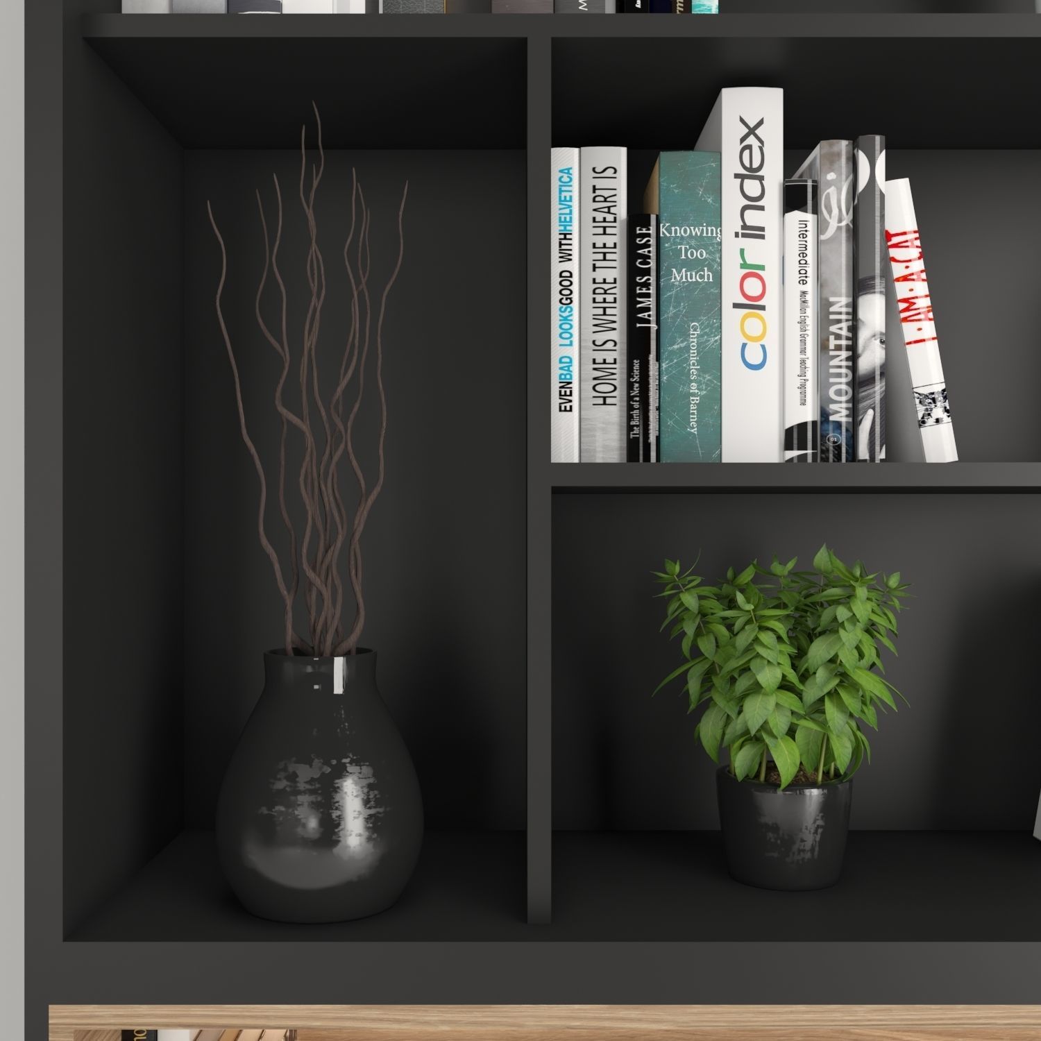 Rack and Bookcase 02 3D model_2