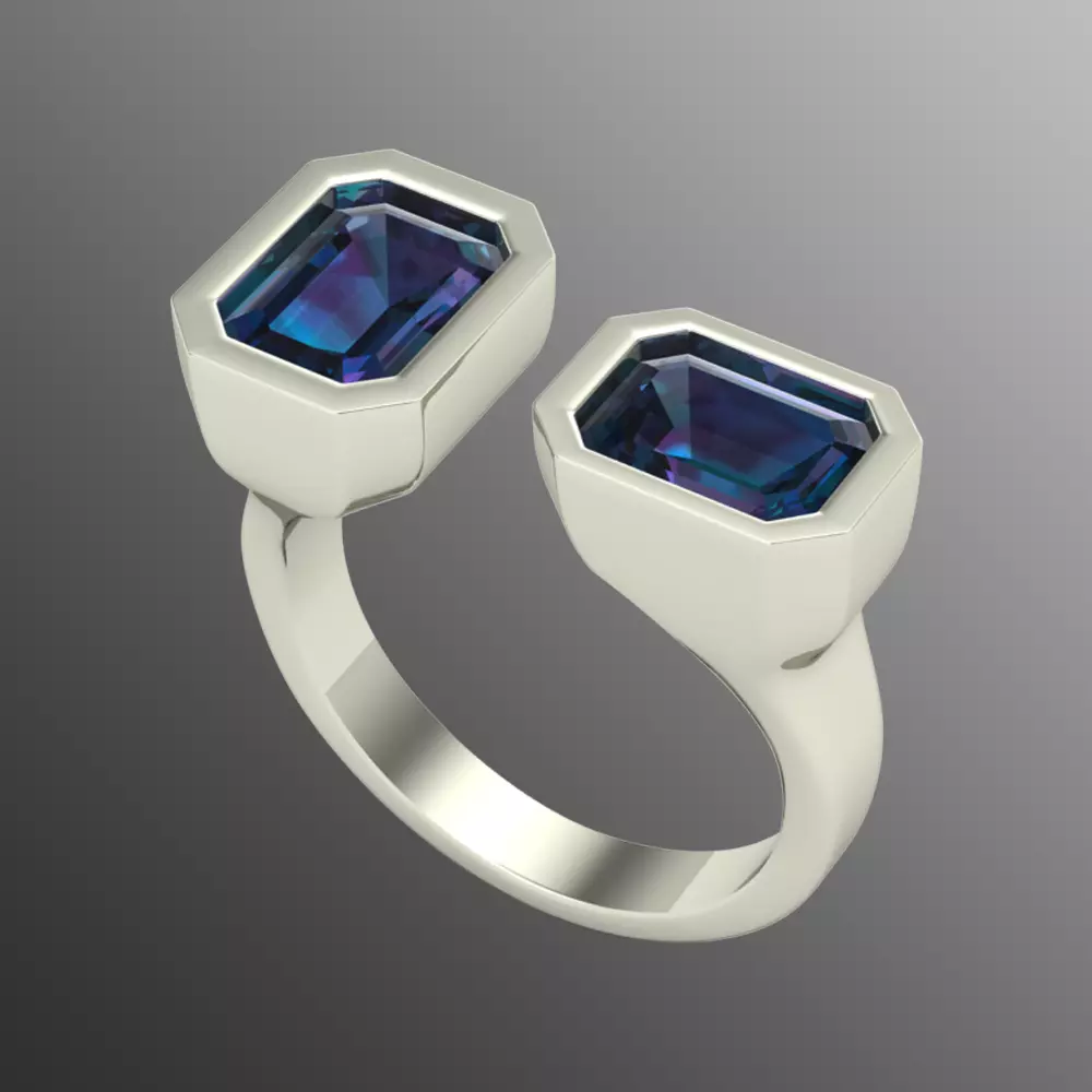 Ring pl24 3D print model_0