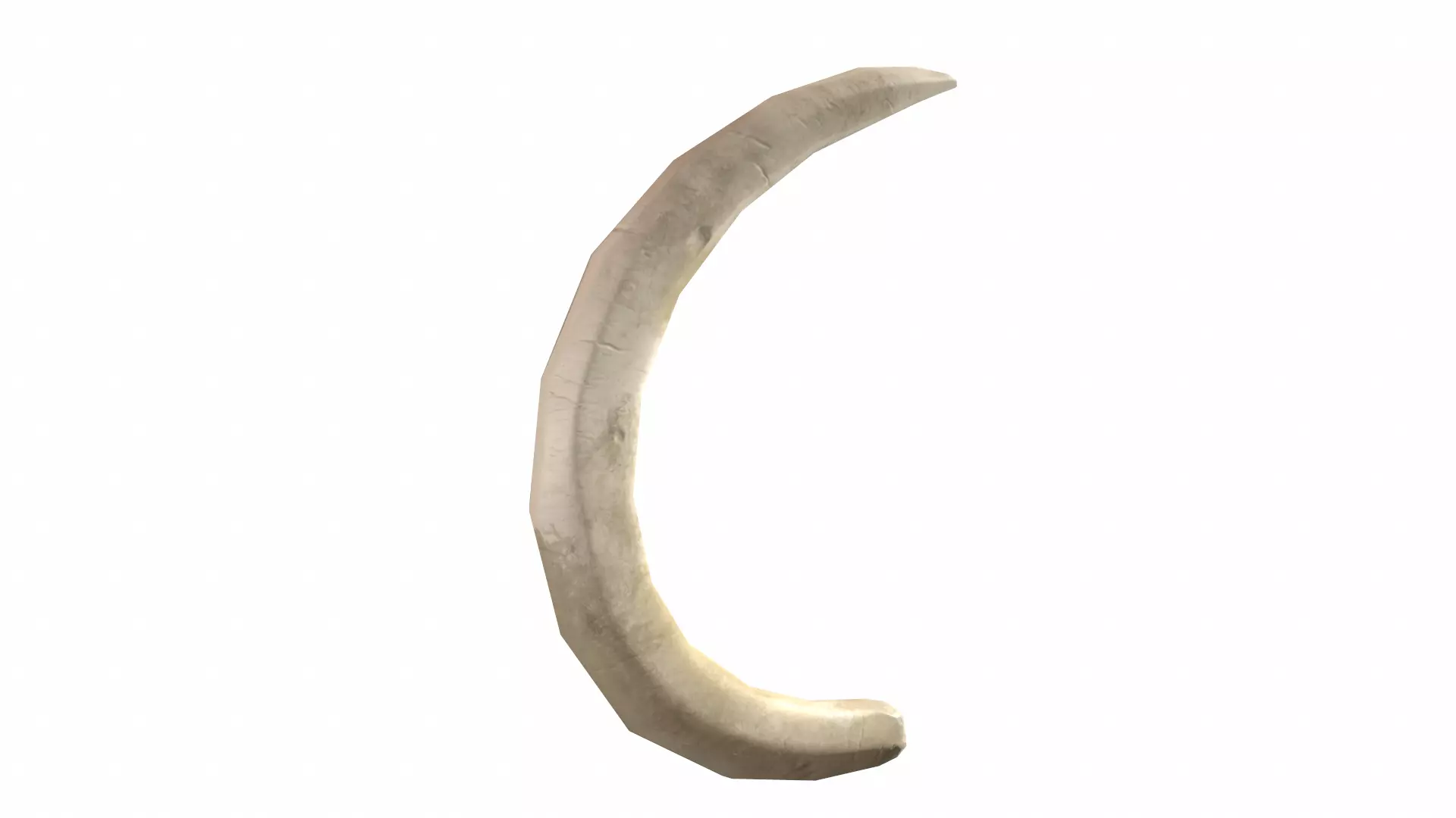 Boar Tusk - Game Ready Low-poly 3D model_0