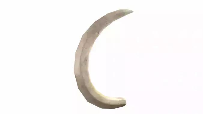 Boar Tusk - Game Ready Low-poly 3D model