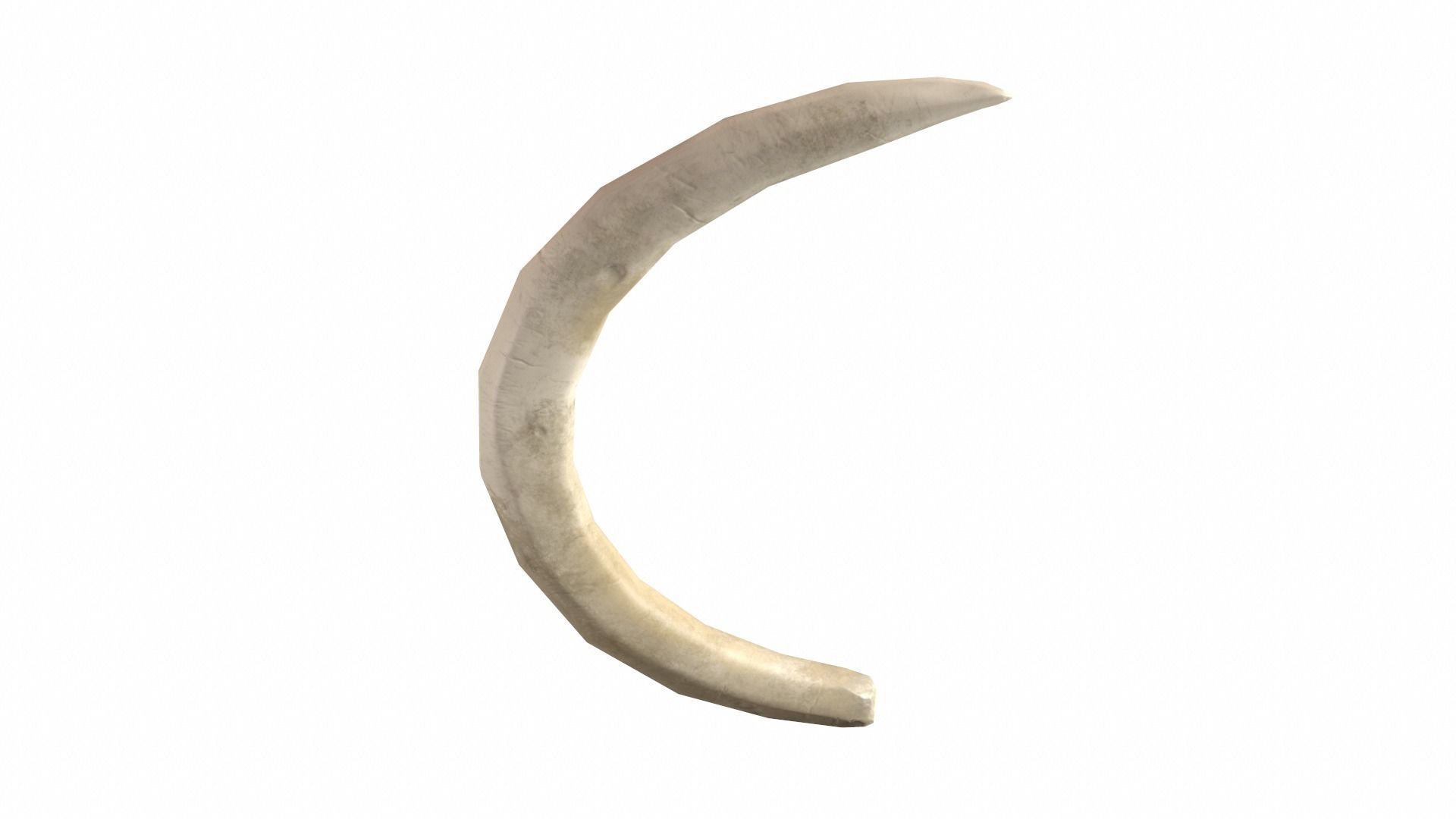 Boar Tusk - Game Ready Low-poly 3D model_3