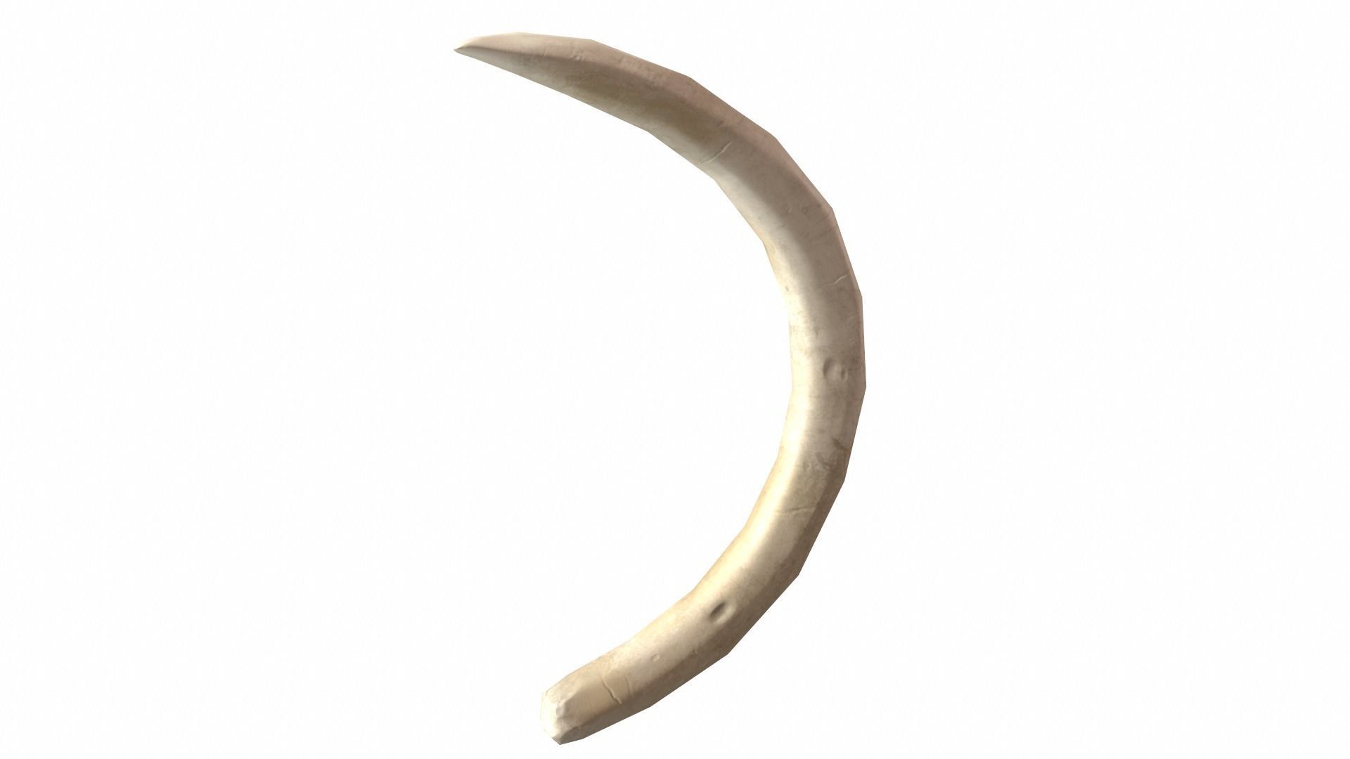 Boar Tusk - Game Ready Low-poly 3D model_6