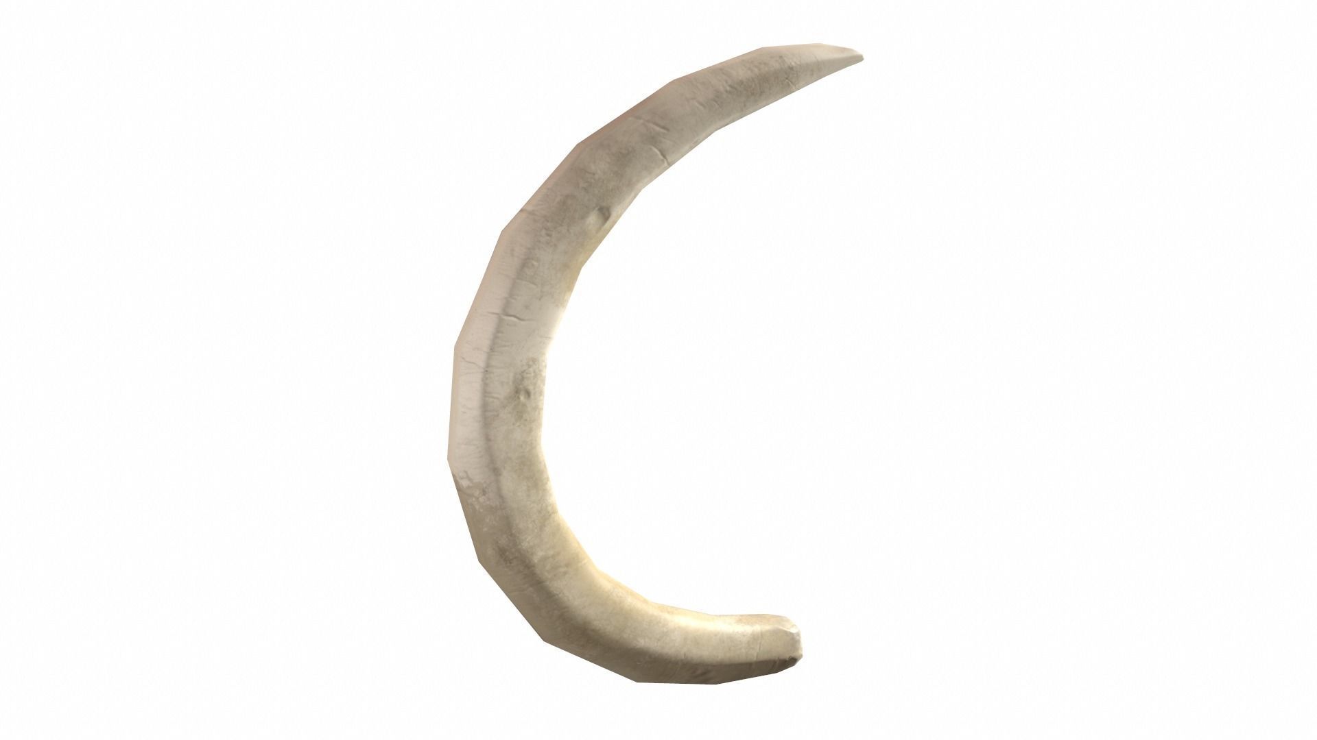 Boar Tusk - Game Ready Low-poly 3D model_1