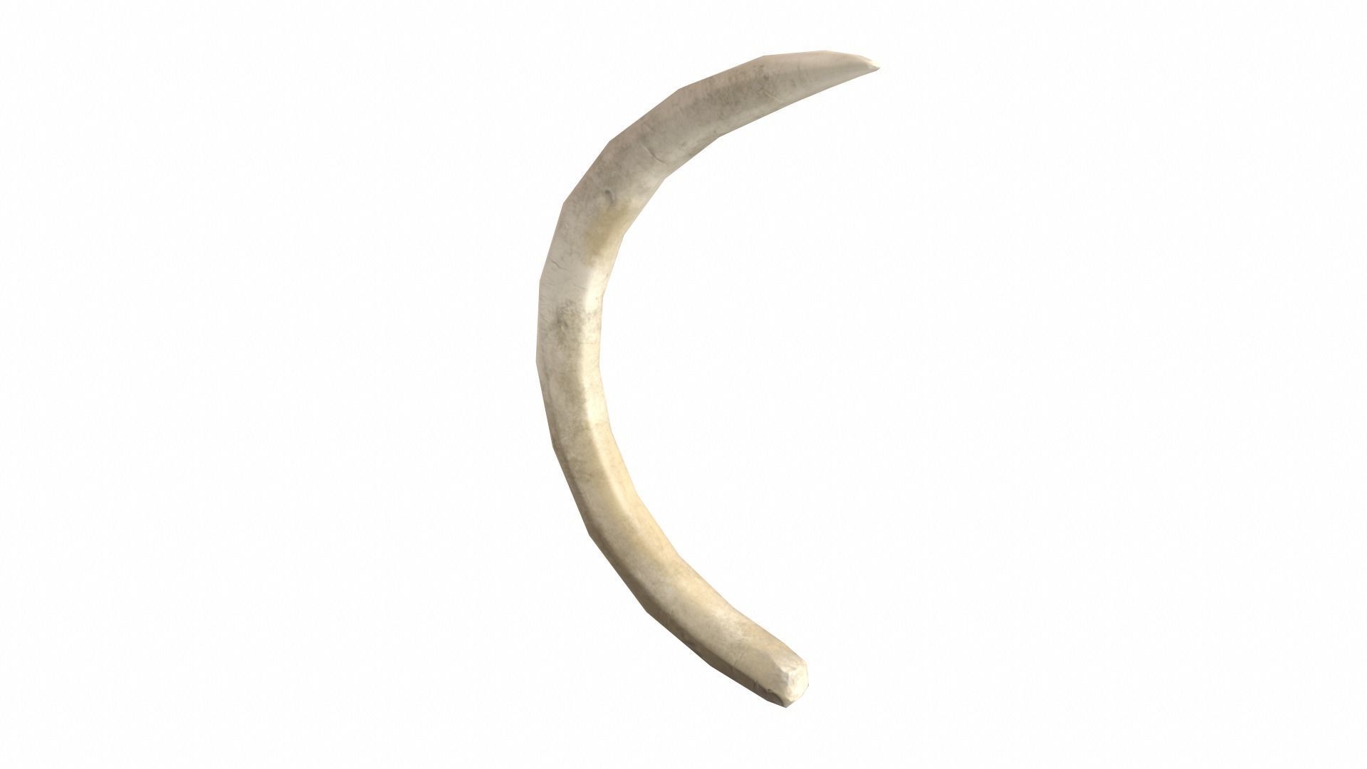 Boar Tusk - Game Ready Low-poly 3D model_8