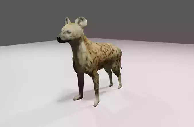 Hyena low and high poly - Hiena Low-poly 3D model
