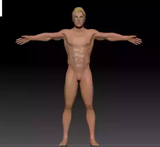 full body male decimated