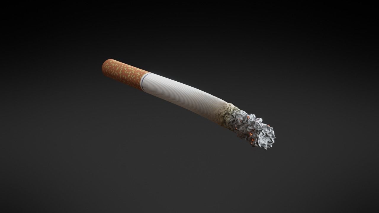 PBR Generic Cigarette Burning  Low-poly 3D model_18