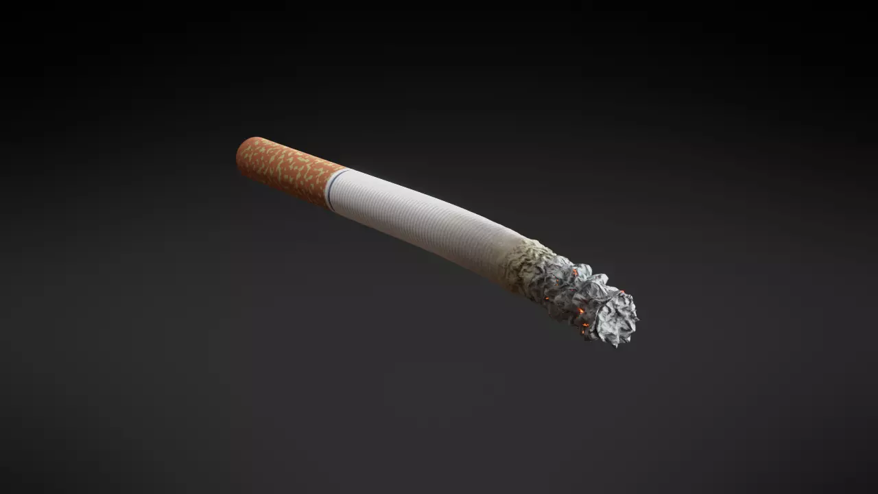 PBR Generic Cigarette Burning  Low-poly 3D model_0