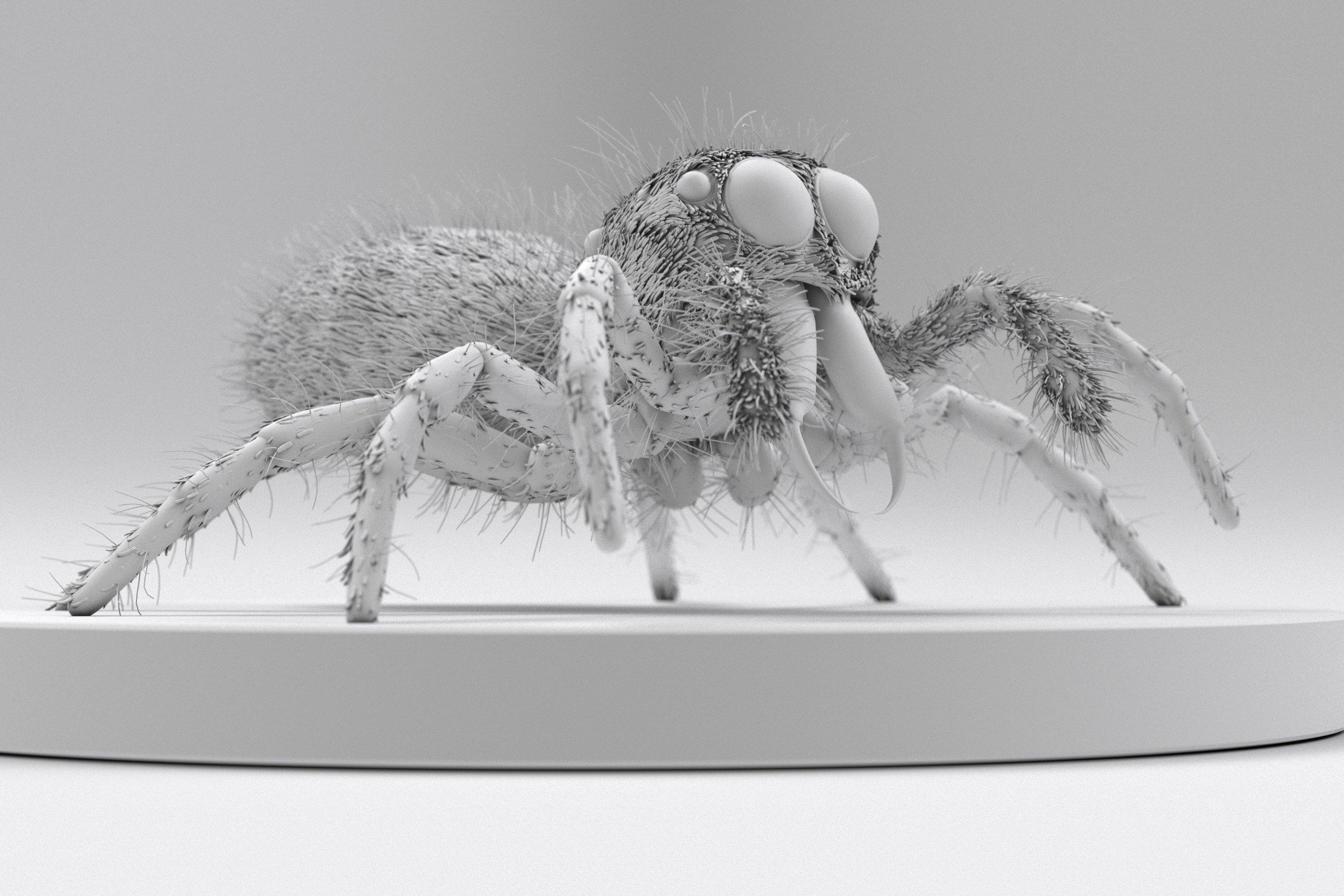 Jumping Spider 3D print model_7
