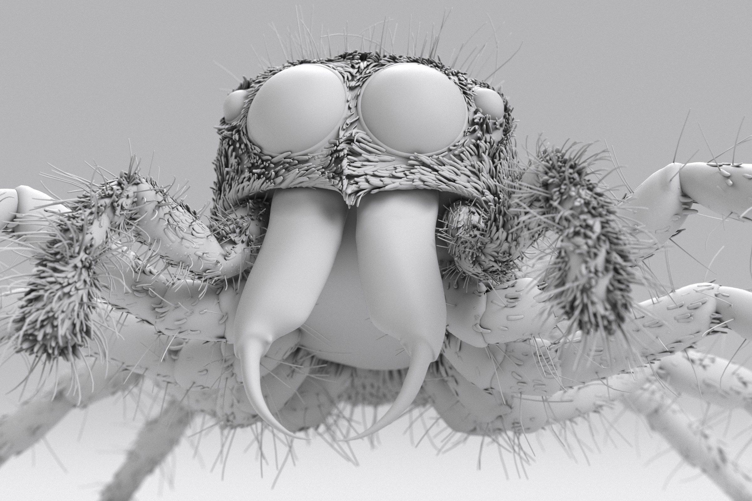 Jumping Spider 3D print model_16