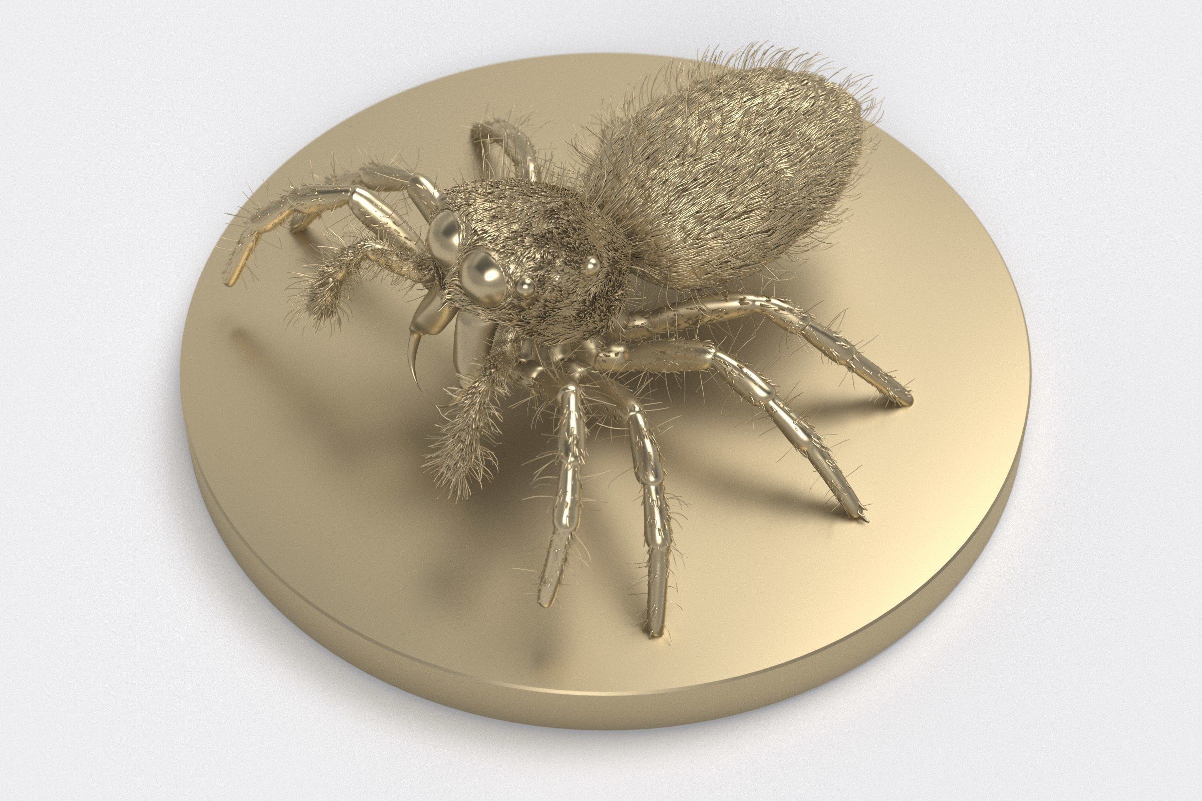 Jumping Spider 3D print model_14