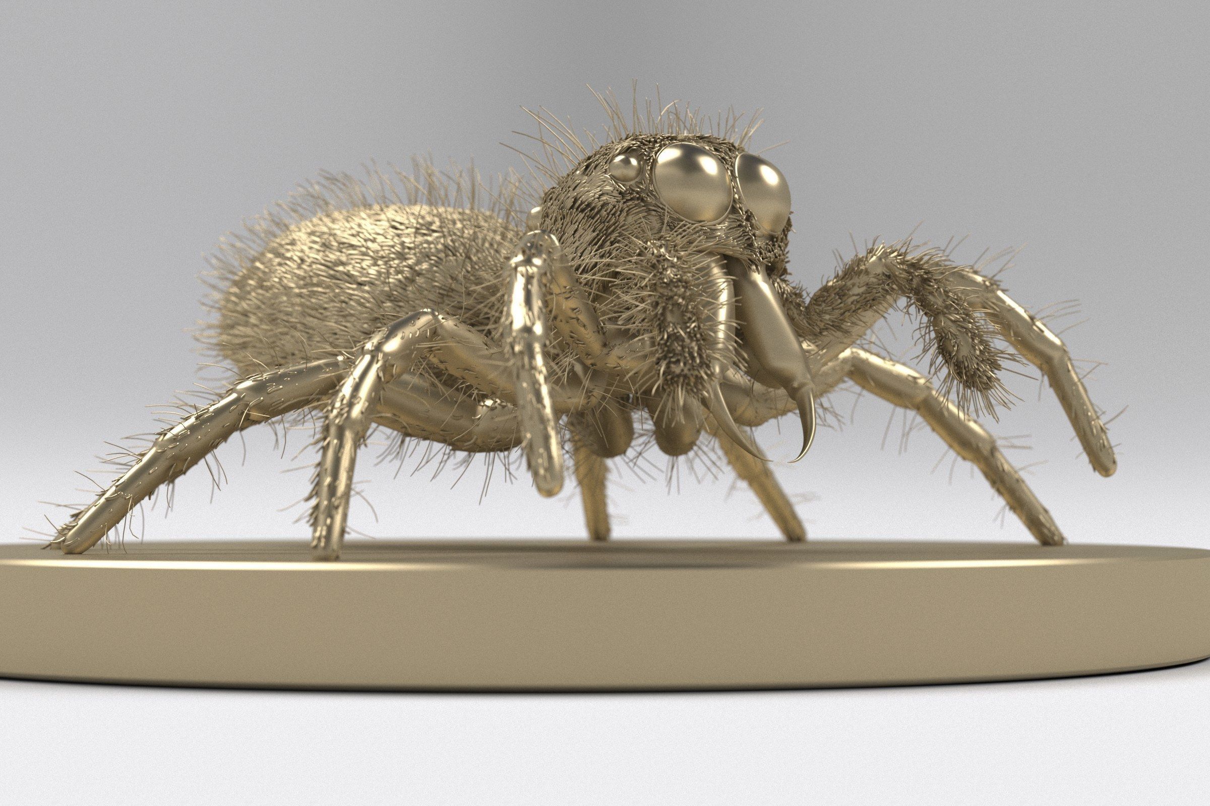 Jumping Spider 3D print model_6