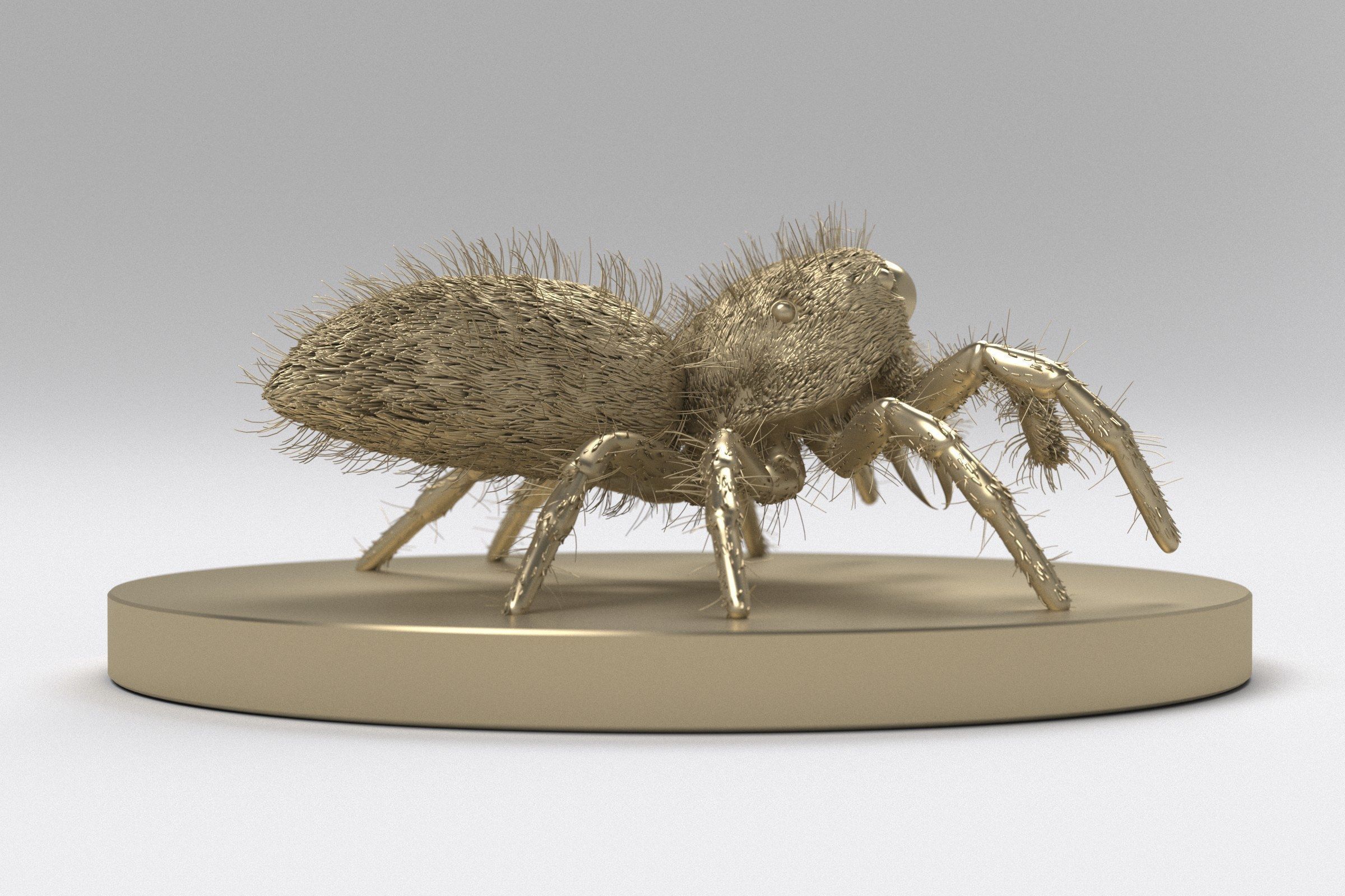 Jumping Spider 3D print model_10
