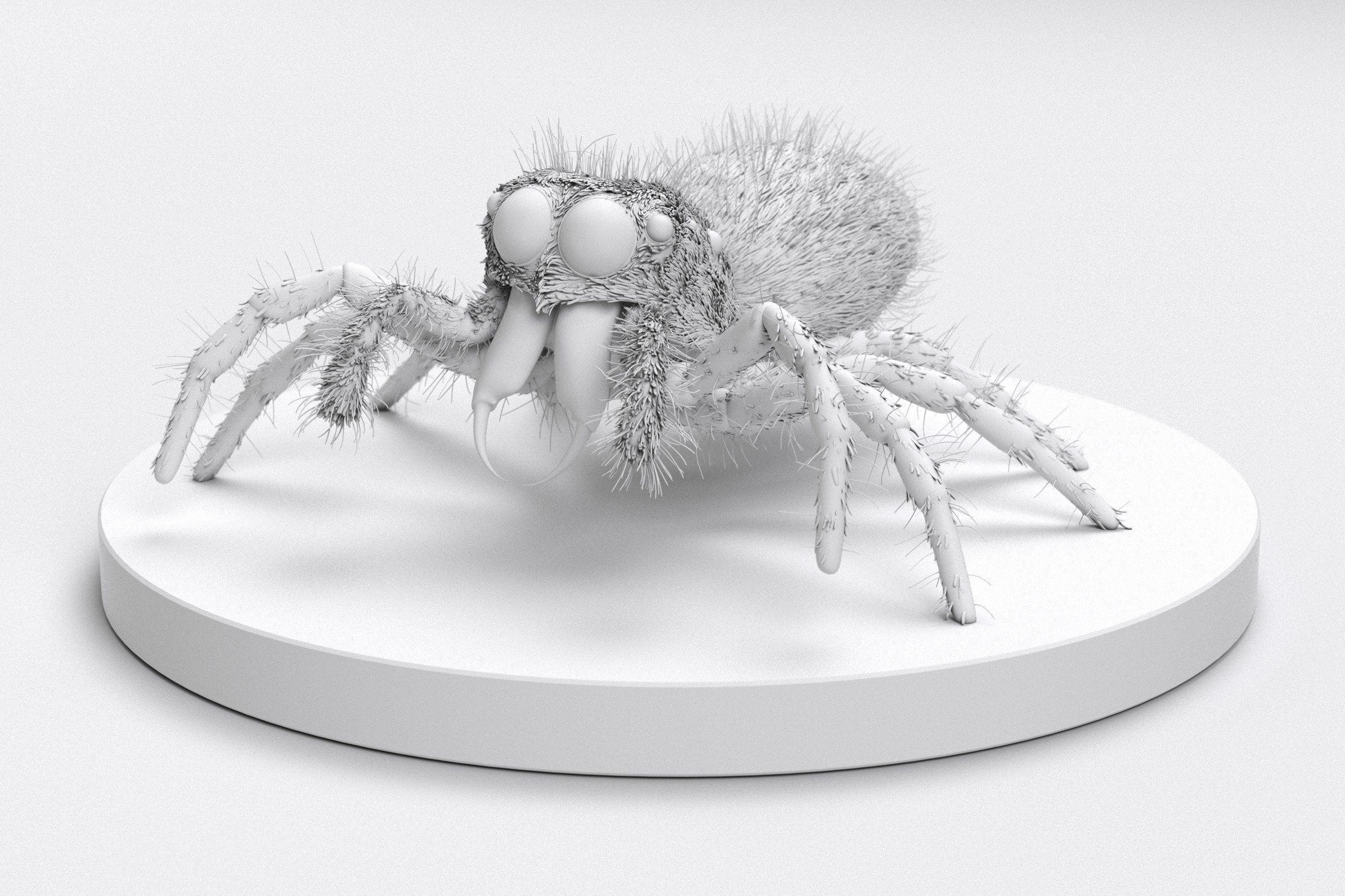 Jumping Spider 3D print model_5