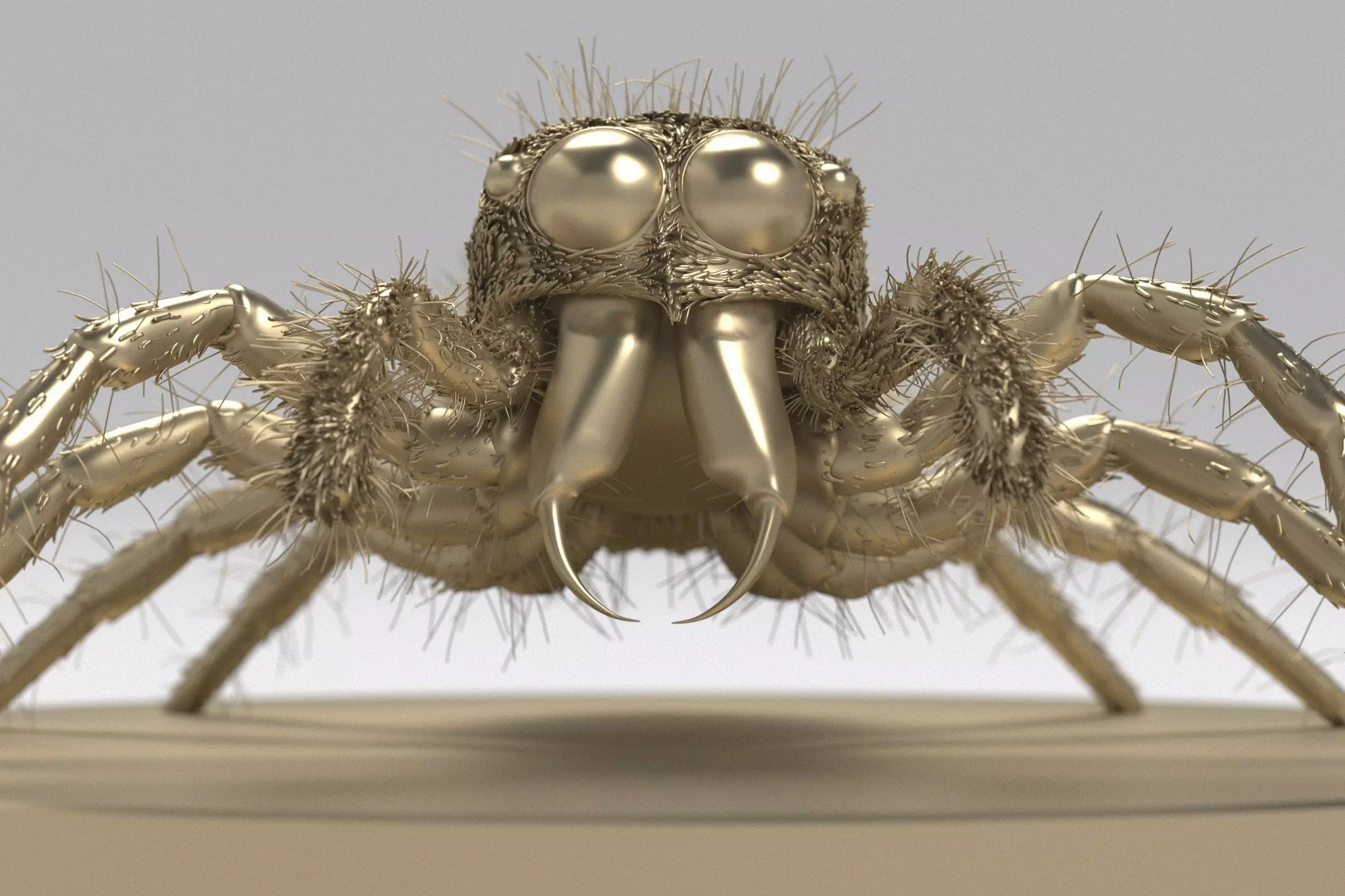 Jumping Spider 3D print model_0