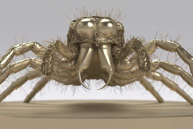 Jumping Spider 3D print model