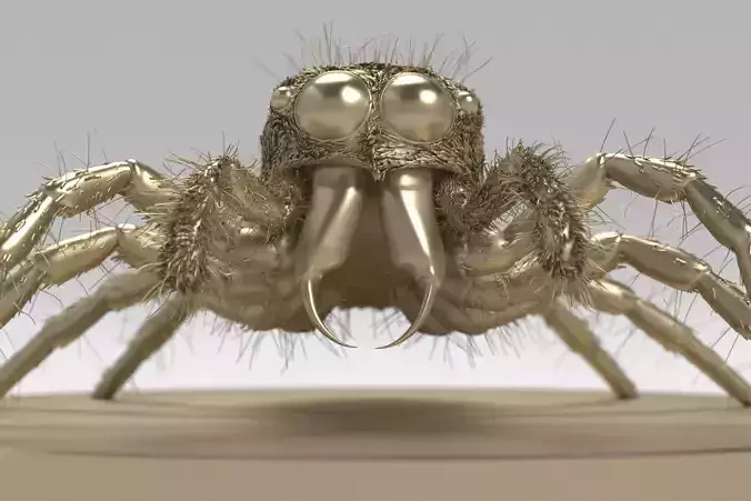 Jumping Spider 3D print model
