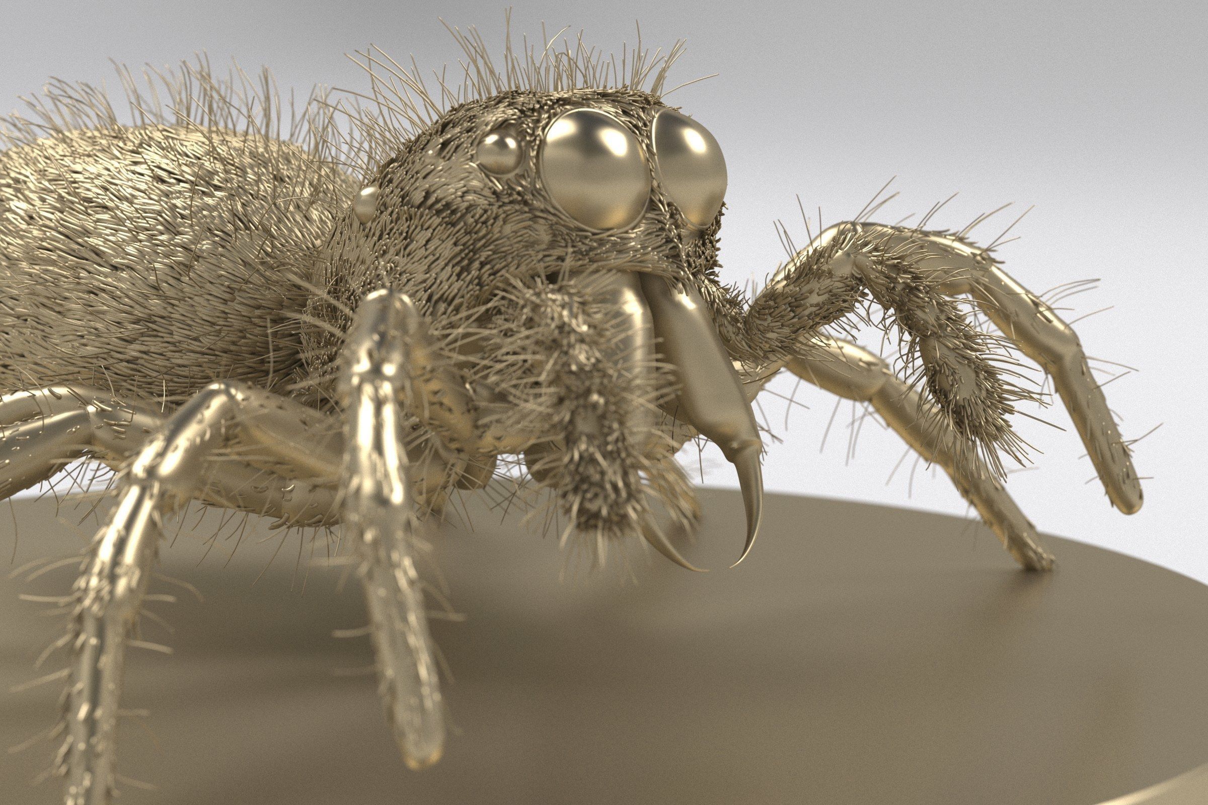 Jumping Spider 3D print model_2