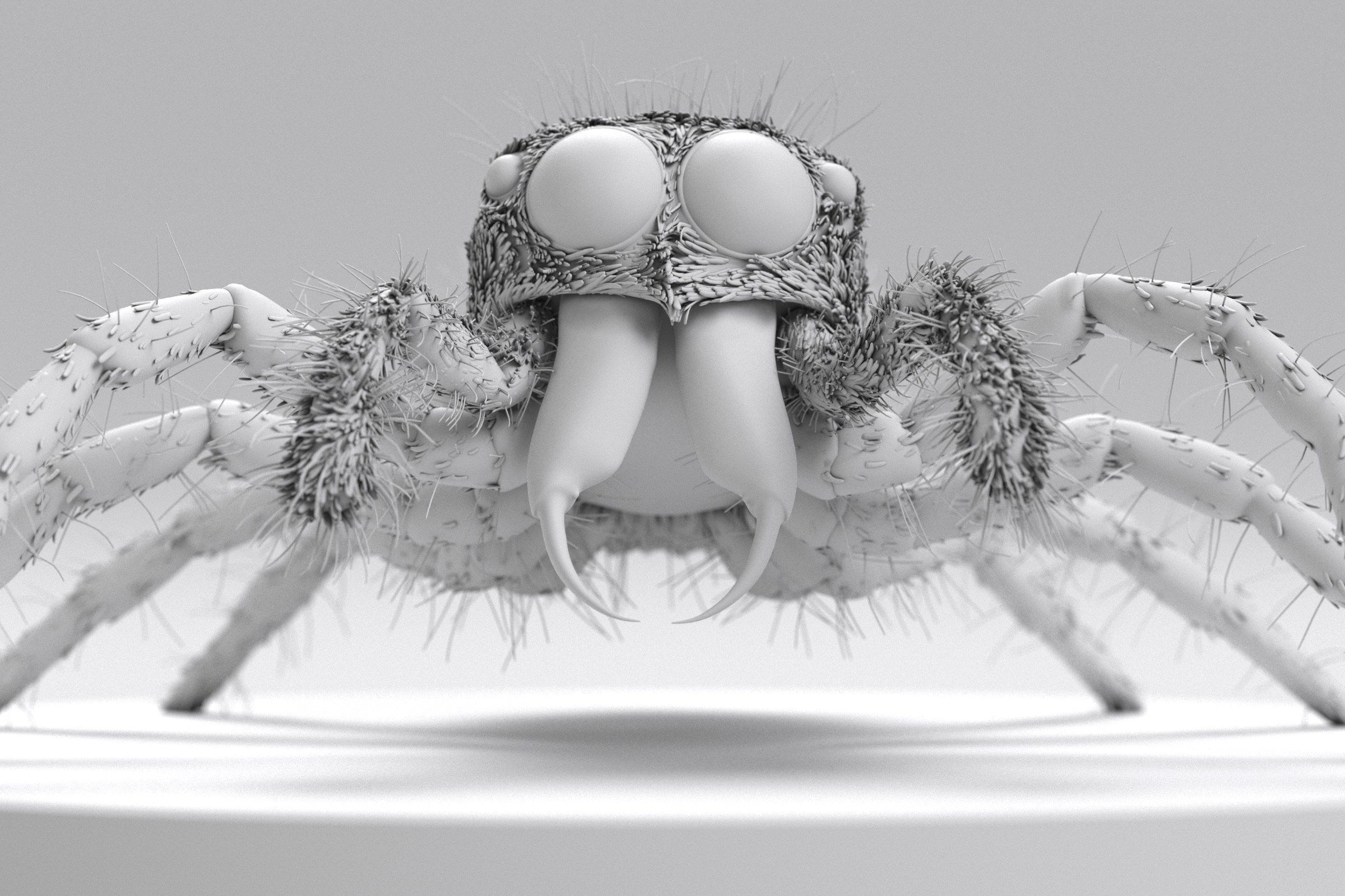 Jumping Spider 3D print model_1