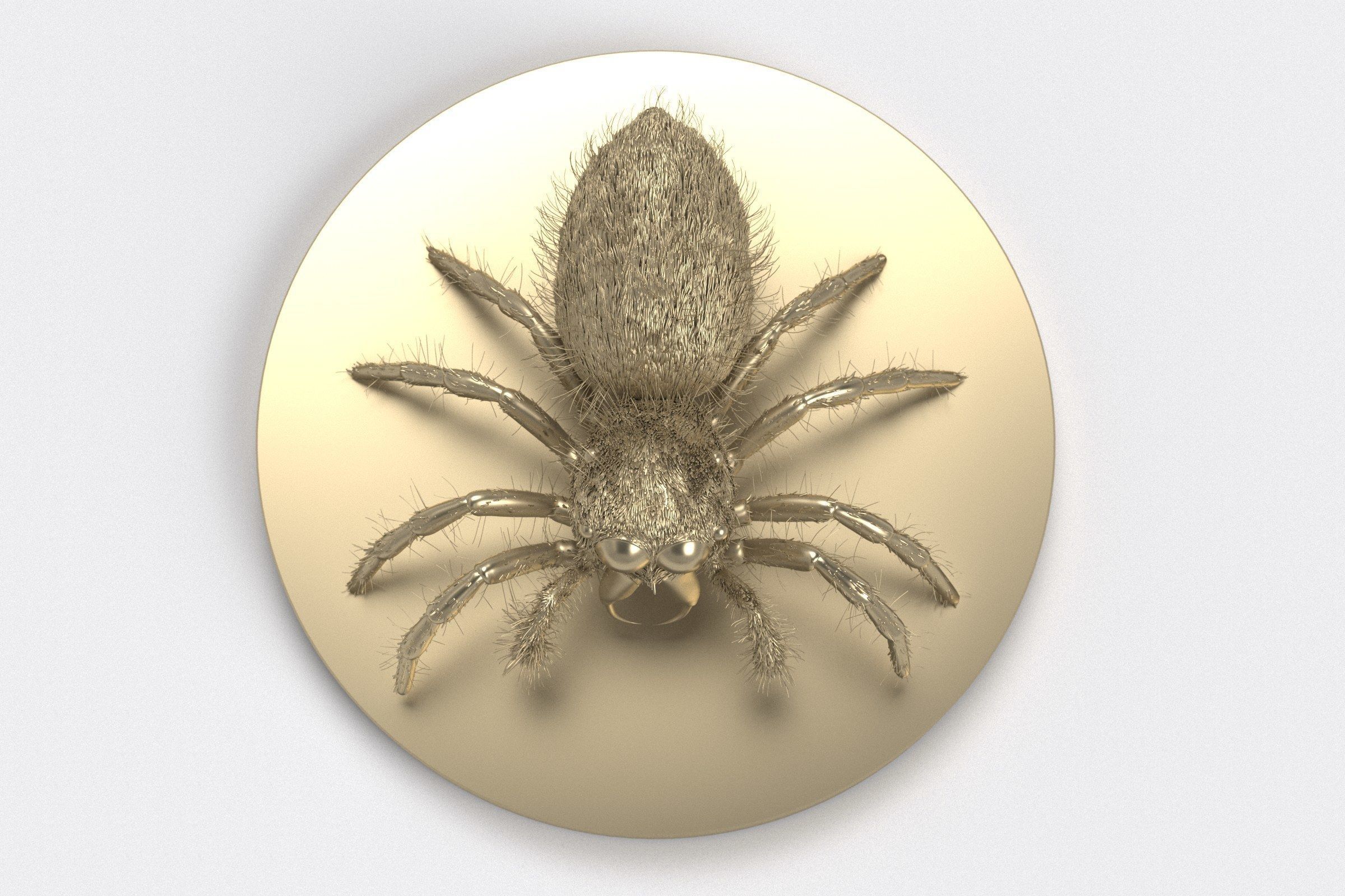 Jumping Spider 3D print model_12