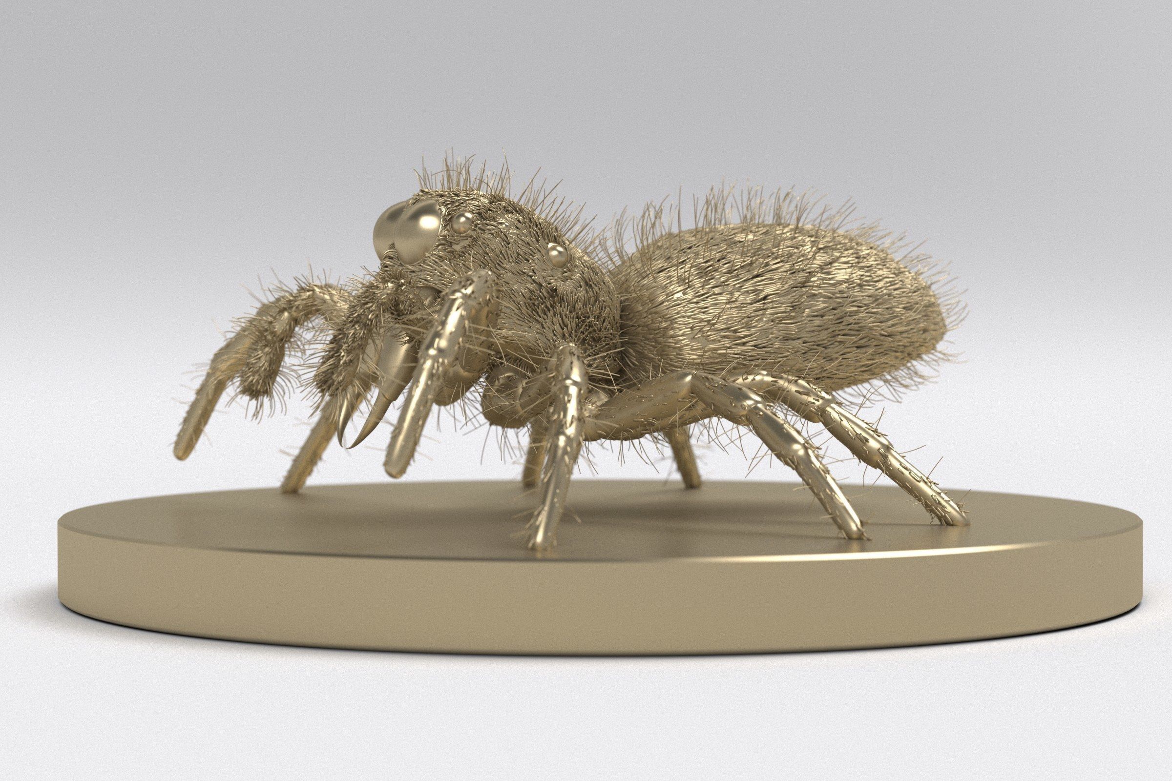 Jumping Spider 3D print model_8