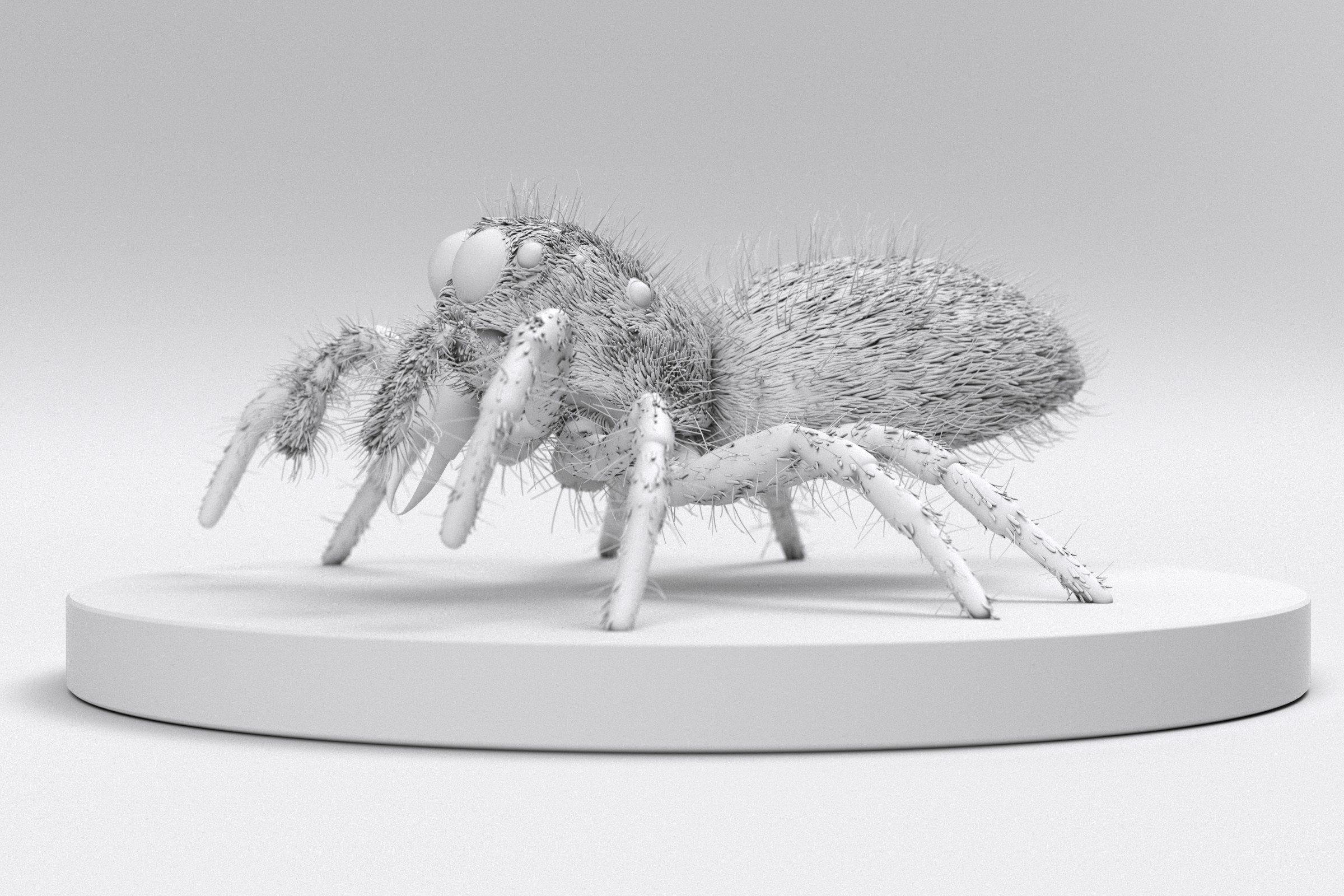 Jumping Spider 3D print model_9