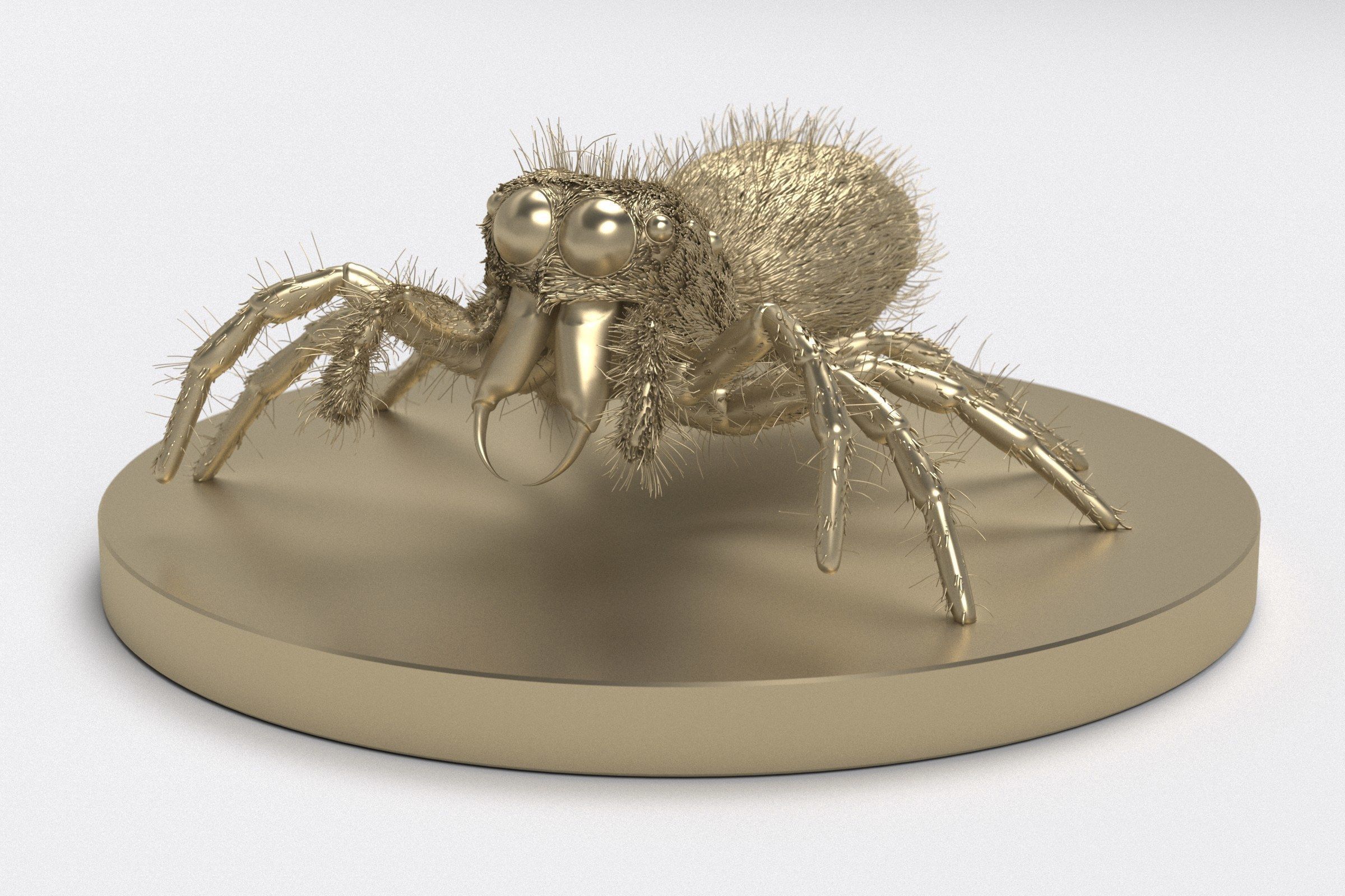Jumping Spider 3D print model_4