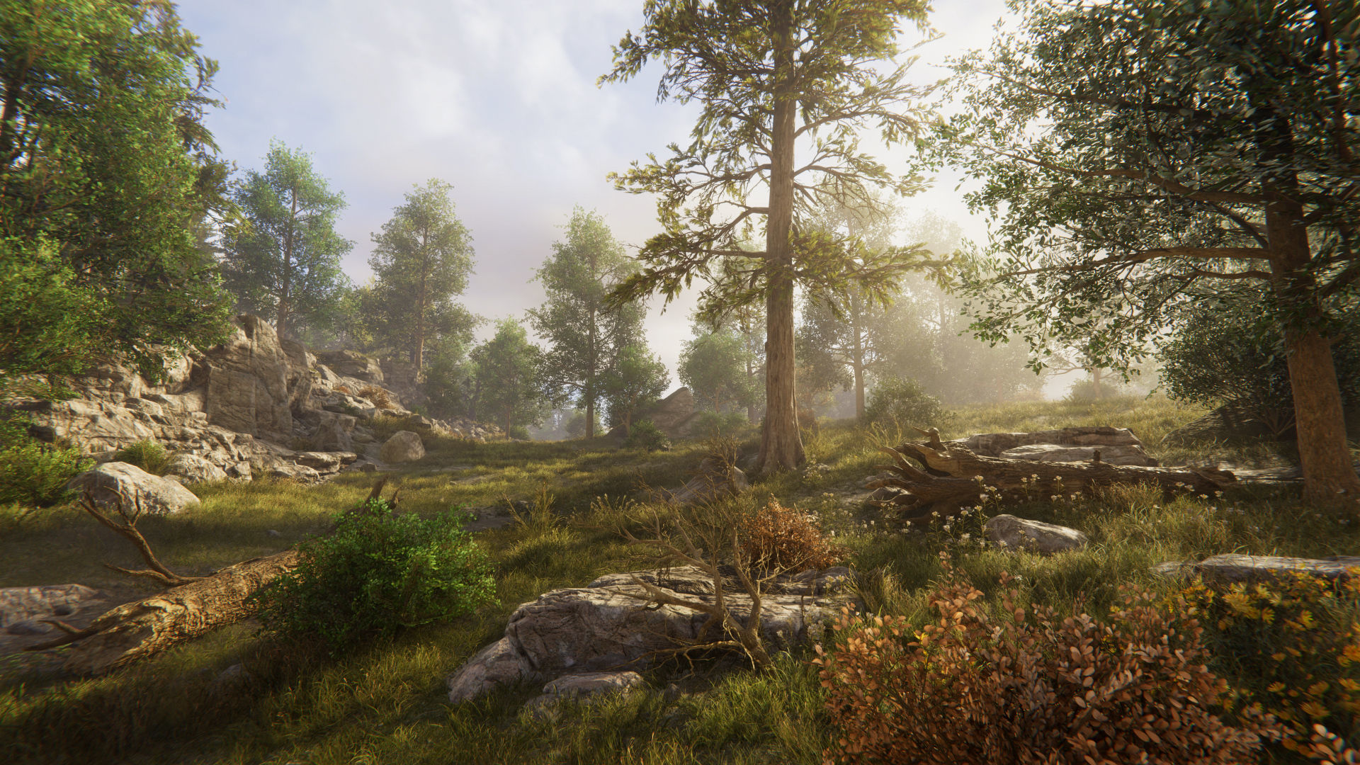 Rocky Hills Environment - Mega Pack Low-poly 3D model_55