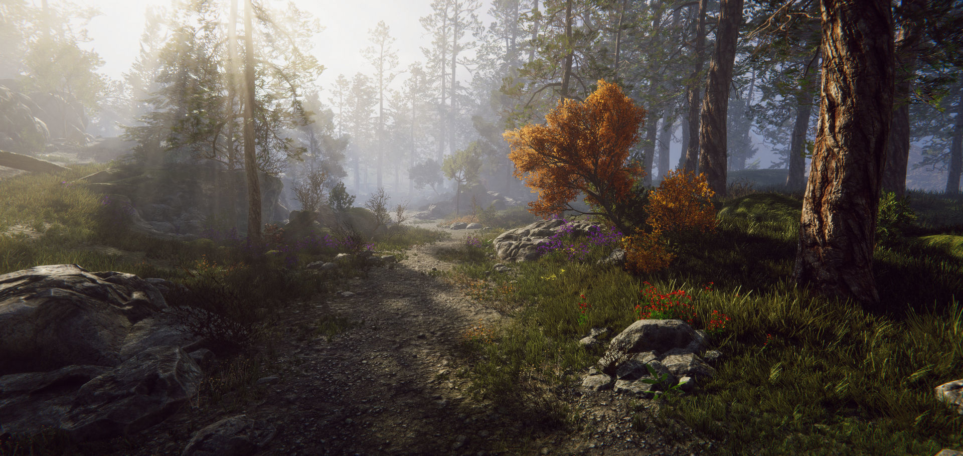 Rocky Hills Environment - Mega Pack Low-poly 3D model_5