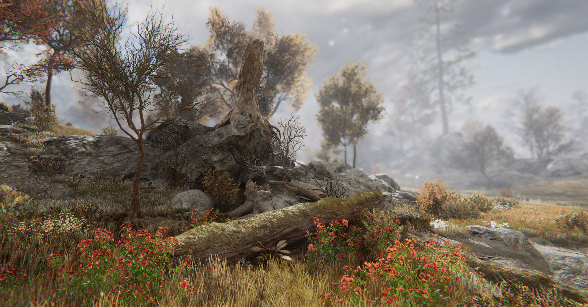 Rocky Hills Environment - Mega Pack Low-poly 3D model_35