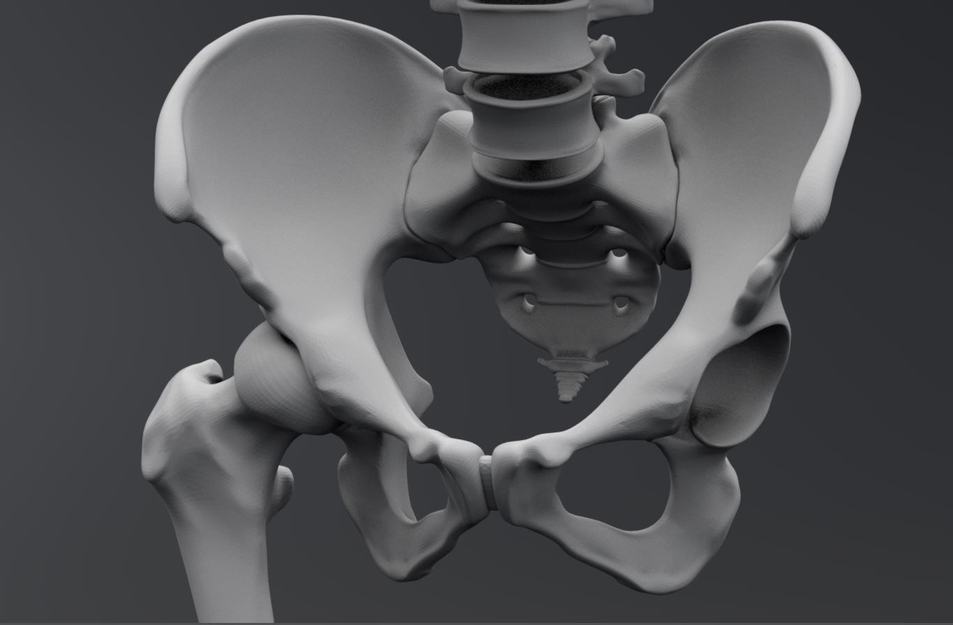 Human Skeleton Full Articulated 3D print model_7