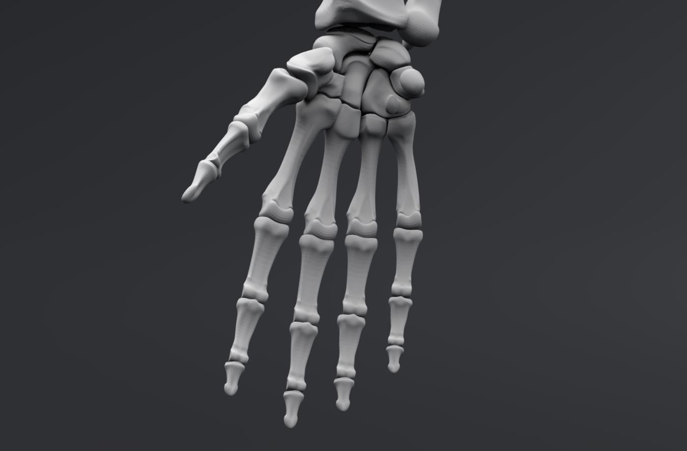 Human Skeleton Full Articulated 3D print model_6