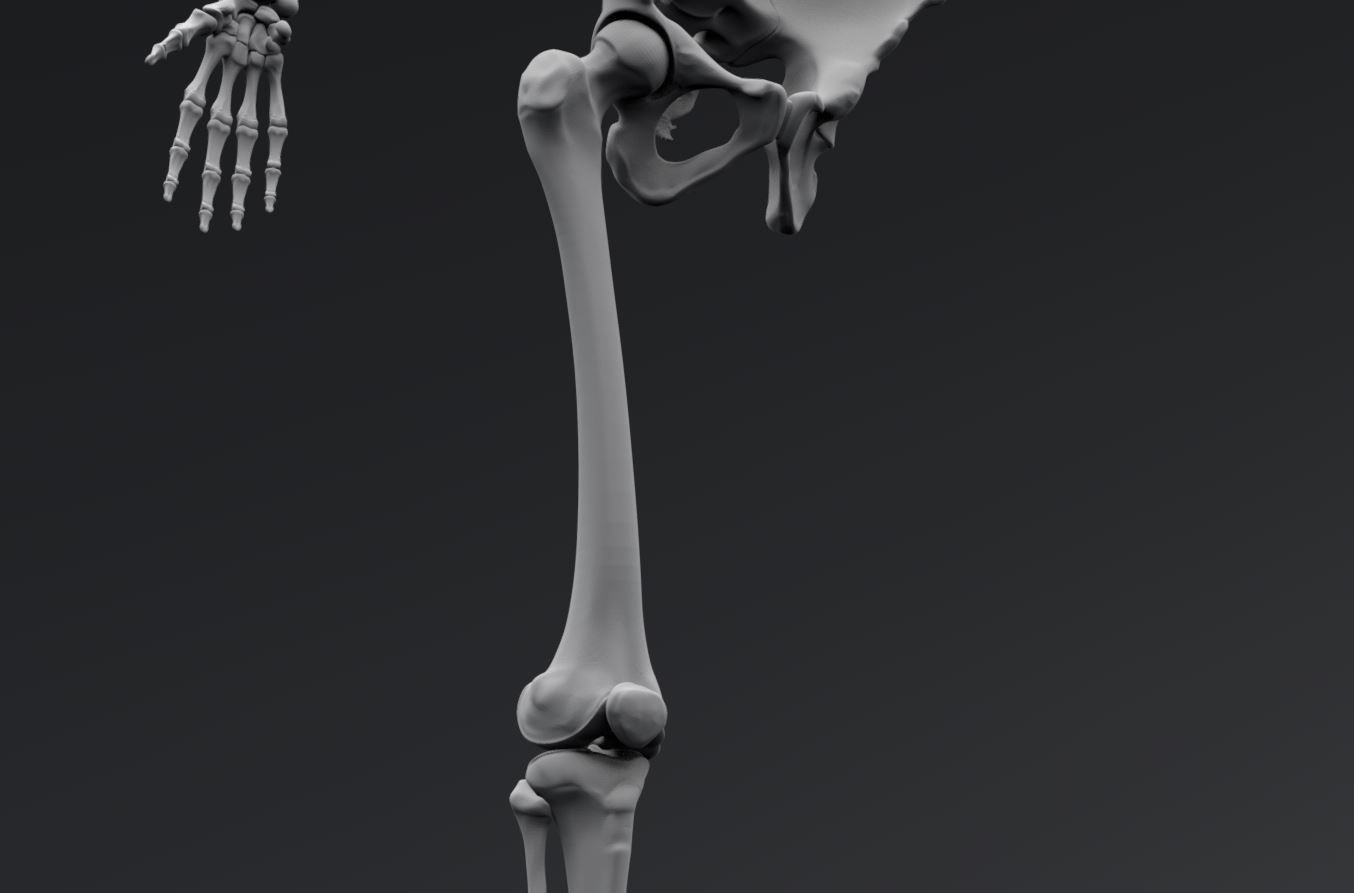 Human Skeleton Full Articulated 3D print model_8