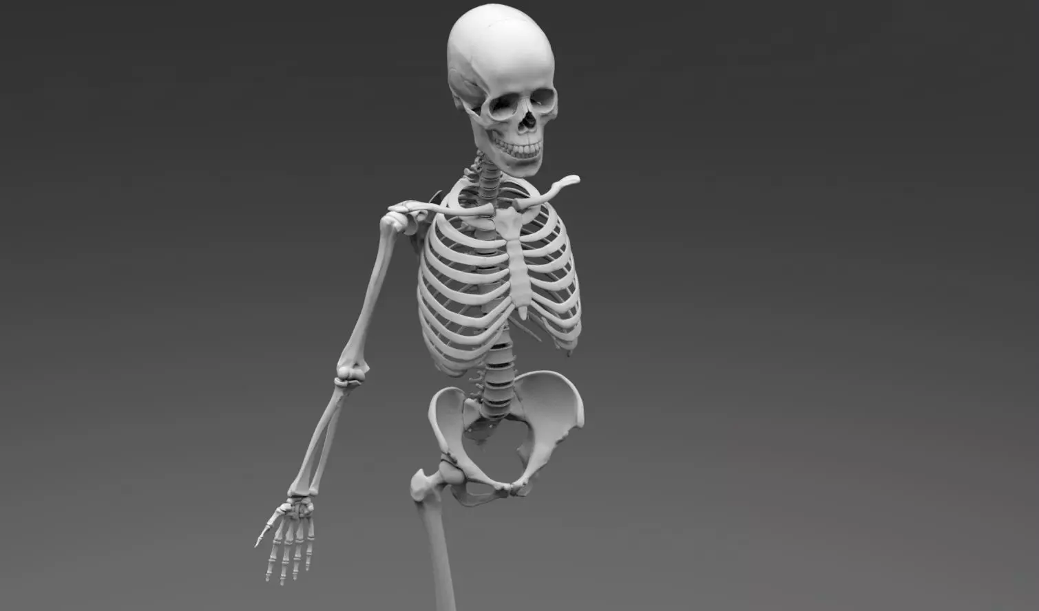 Human Skeleton Full Articulated 3D print model_0