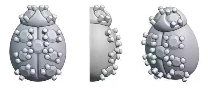 Ladybug three beetle