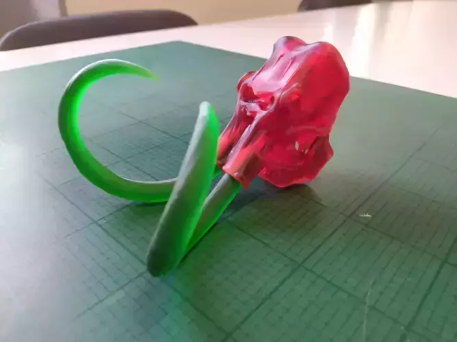 Crane de Mammouth mammoth skull