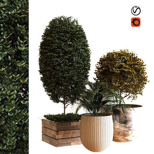 plant in box set 038 Low-poly 3D model