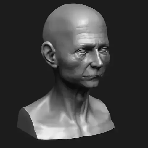 Bust - old man 