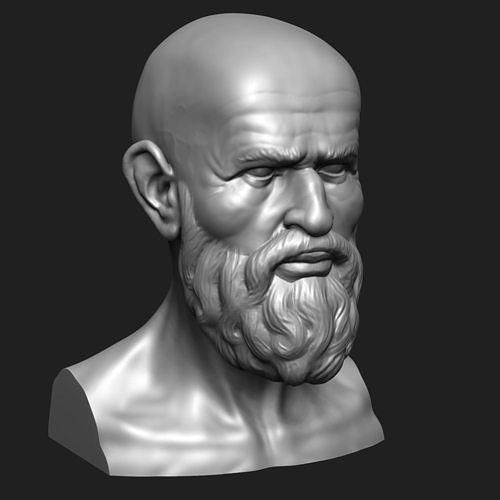 Bearded old man bust 3D print model