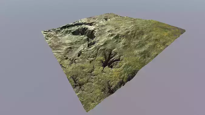European Biome 1 Free low-poly 3D model