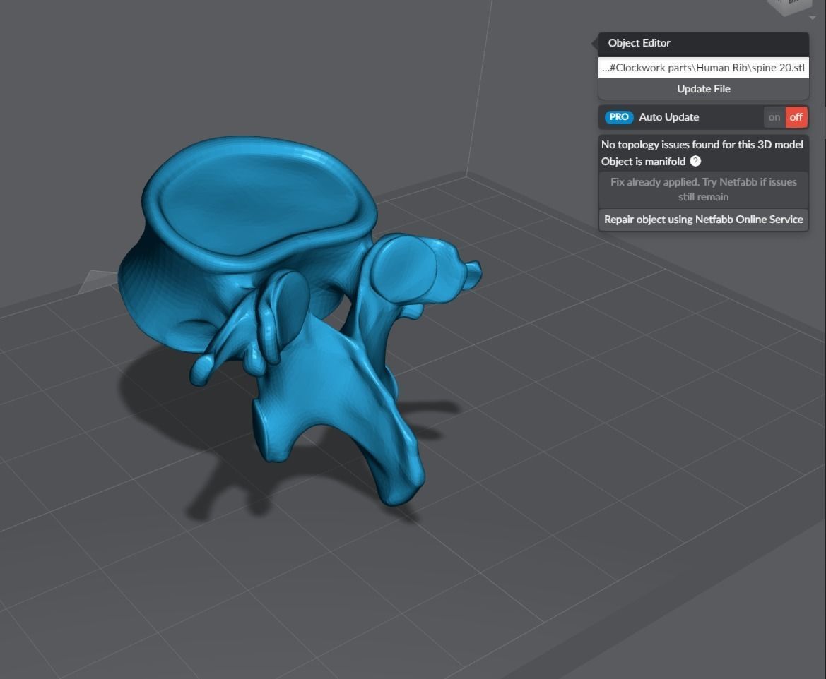 Human Spine Articulated 3D print model_10