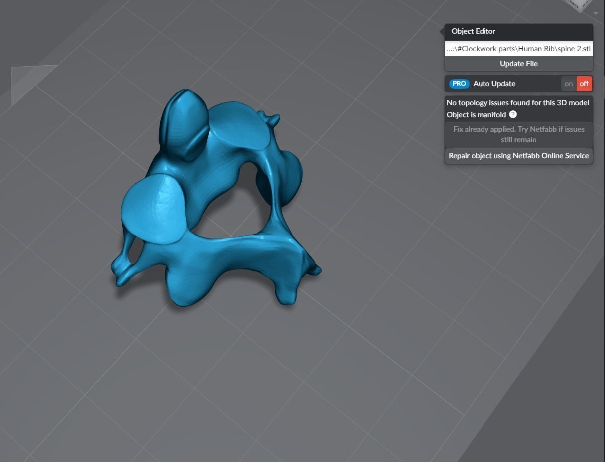 Human Spine Articulated 3D print model_6