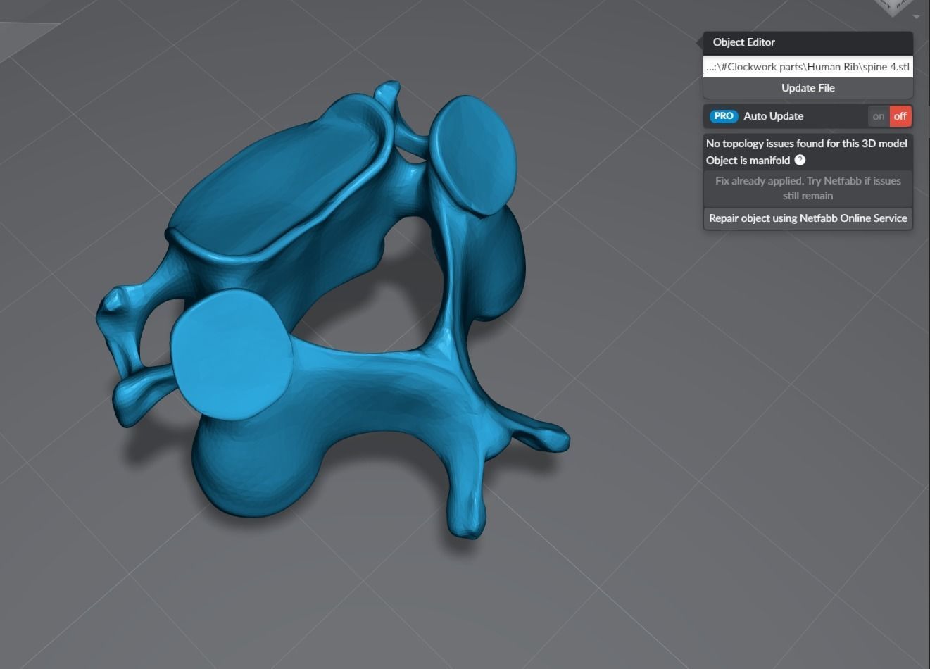 Human Spine Articulated 3D print model_7