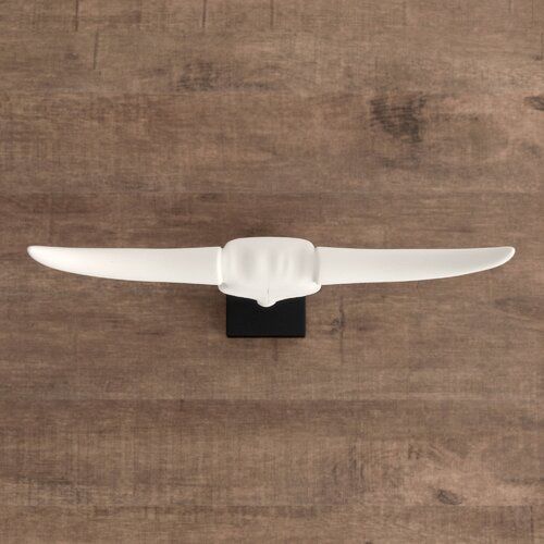 White-Black Buffalo Skull Penncross Bust 3D model_4