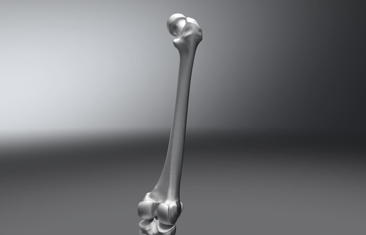 Human Leg Realistic Articulated 3D print model_2