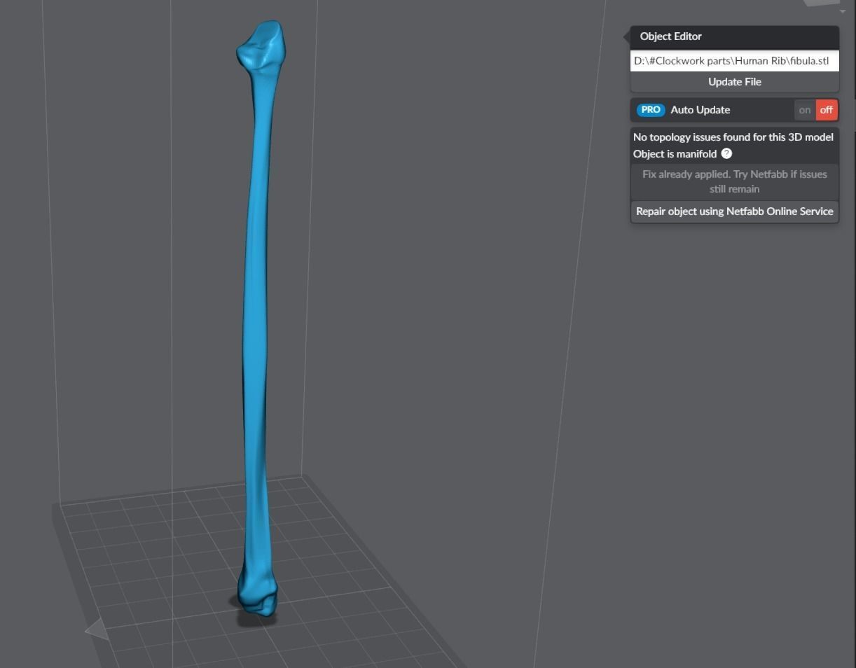 Human Leg Realistic Articulated 3D print model_7