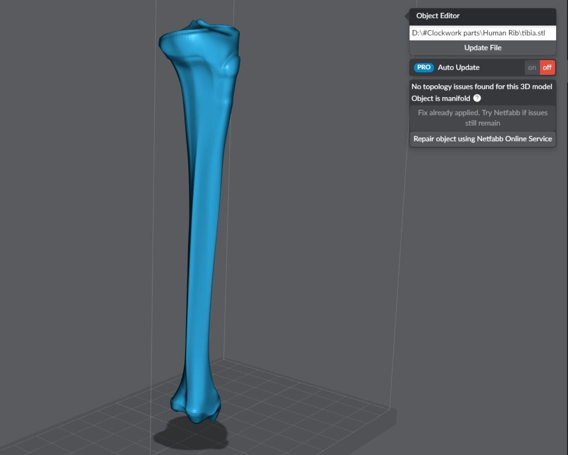 Human Leg Realistic Articulated 3D print model_6
