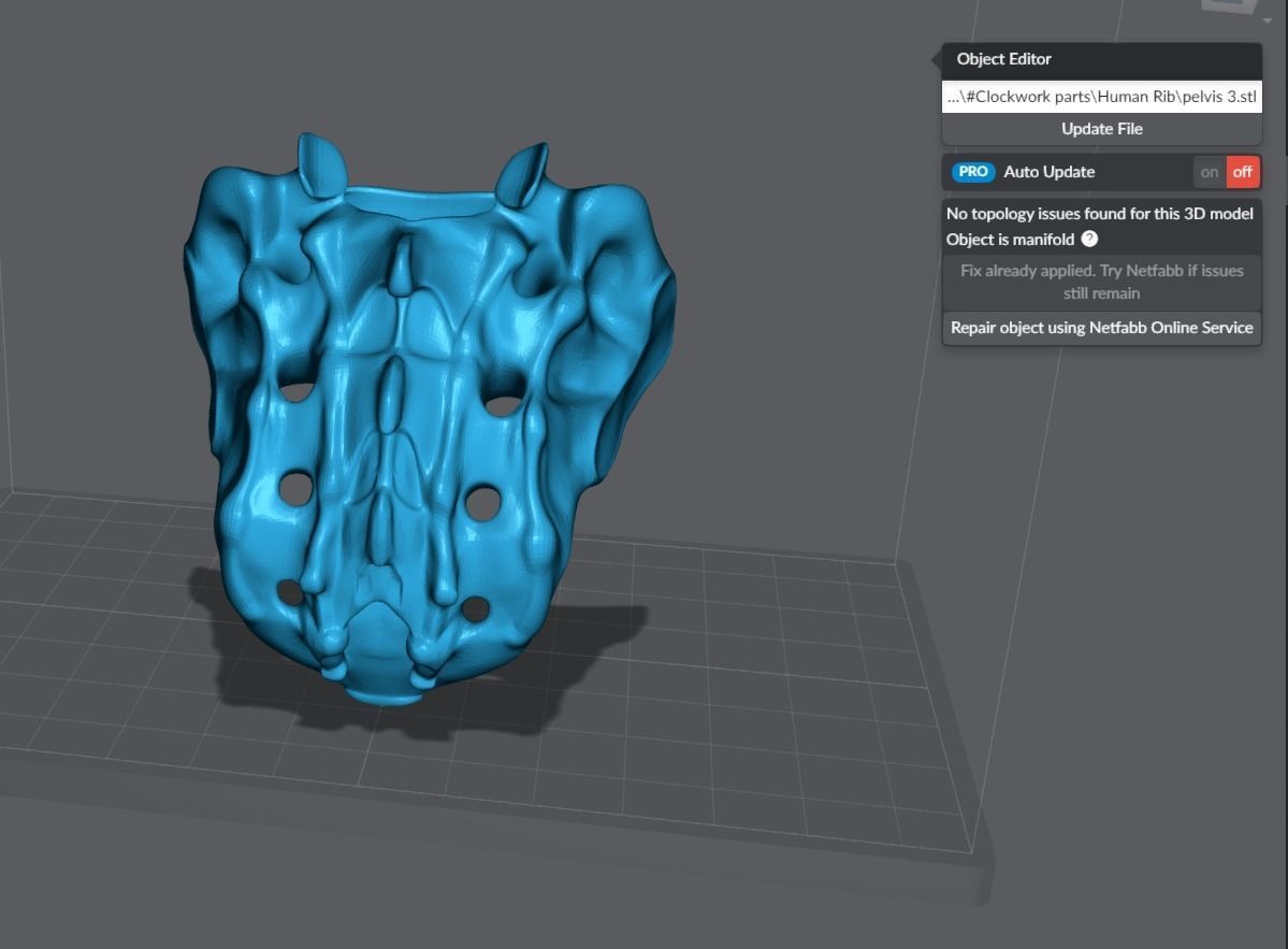 Human pelvis Realistic Articulated 3D print model_6